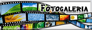1fotogaleria