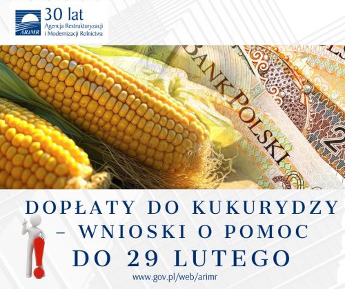 Doradca Prezesa4