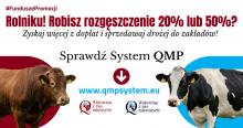QMP grafika