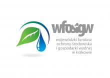 wfosigw logotype color scaled