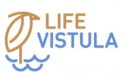 lifevistula