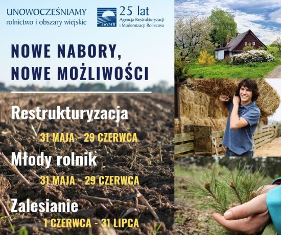 nowe nabory