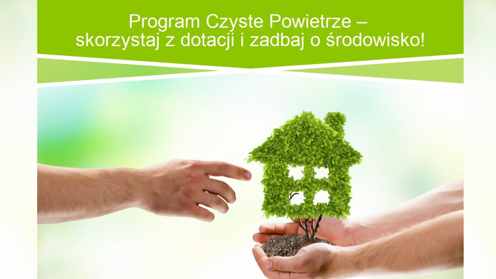 to3axPXk projekt bez tytulu1