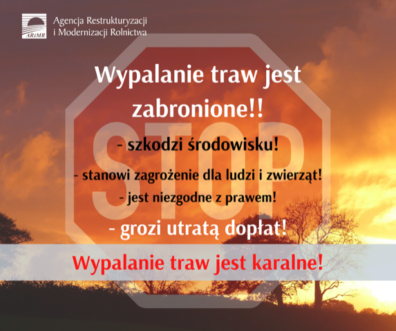 wypalanie traw jest karalne